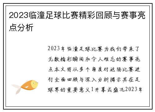 2023临潼足球比赛精彩回顾与赛事亮点分析
