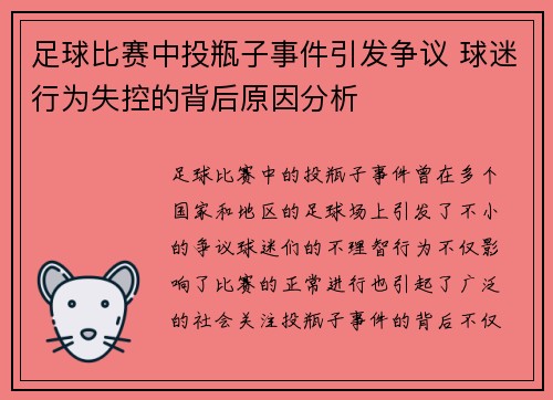 足球比赛中投瓶子事件引发争议 球迷行为失控的背后原因分析