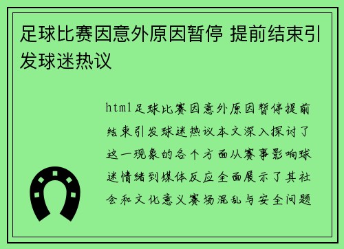 足球比赛因意外原因暂停 提前结束引发球迷热议