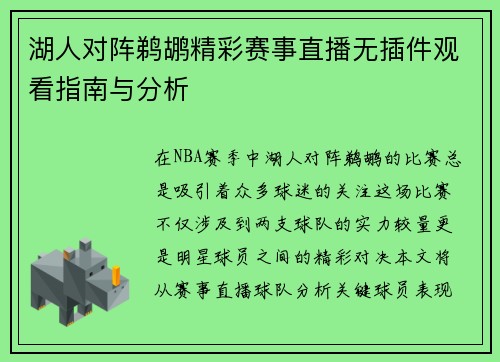 湖人对阵鹈鹕精彩赛事直播无插件观看指南与分析