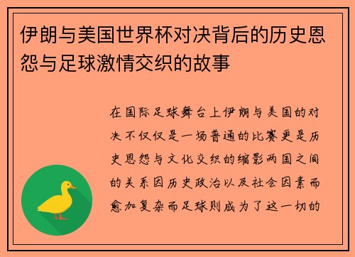 伊朗与美国世界杯对决背后的历史恩怨与足球激情交织的故事