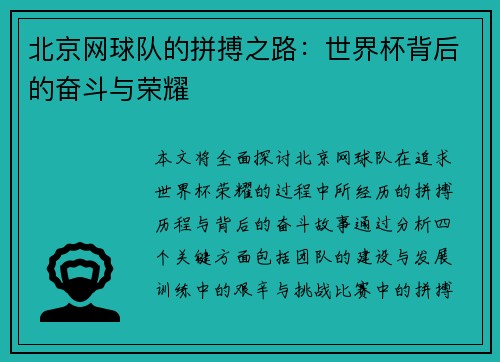 北京网球队的拼搏之路：世界杯背后的奋斗与荣耀