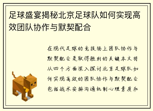 足球盛宴揭秘北京足球队如何实现高效团队协作与默契配合